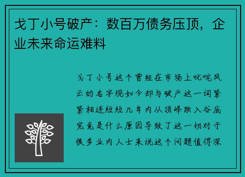 戈丁小号破产：数百万债务压顶，企业未来命运难料