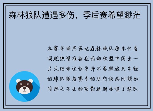 森林狼队遭遇多伤，季后赛希望渺茫